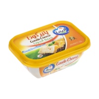 12004054061911c872d37557570