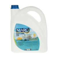 12096875161746fe4ae974419100