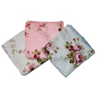 272447461e1db034341e64560