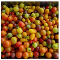 60060a8f941a7f6011220