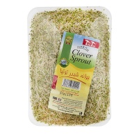 6268316600022608d9f3b0902d1010920