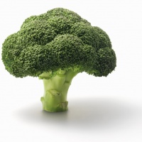 BROCCOLI-fb60a916a3d31e875870