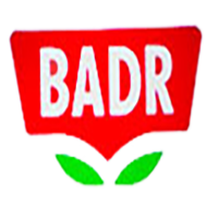 badrlogo
