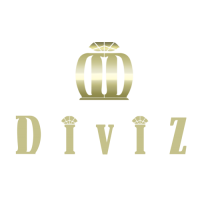 diviz-1-500x288