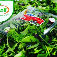 e27DpdA6rpeK7WVpkoQp6gKoXFz9yt2AxtxllnxL_512X512X70608e98954484e27170