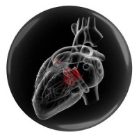 ffec036214c6c0fdffe57e495d5d8bc7a989dad2_16309190836321c190b2bc426930