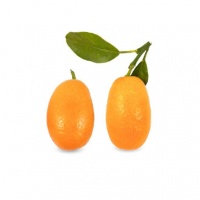 iOgMlQM9VibuULJzAktwYwAnvHnD5MtKuC5q9TOm_512X512X70608858d4b172e106970