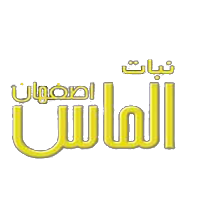 nanatesfahanlogo6096661366ab3104460