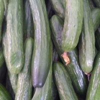 o3NuwSlp39u3D6nr4dYA4FbWu14ZKsNH6phX7zZy_512X512X7060884d1e3fe6161660