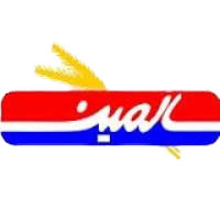 salmitlogo609a66f194da1515100