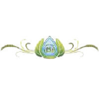 sbx79WD8qRhepAlpnbYpkNqwg