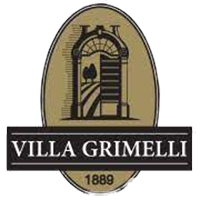 villagrimwllilogo608fe8c31272857250