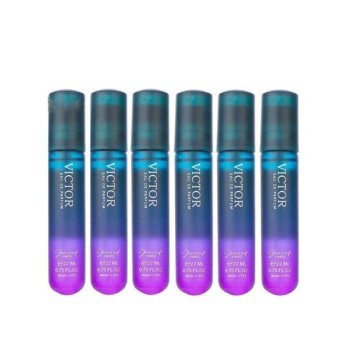 0022494_-6-victor_550