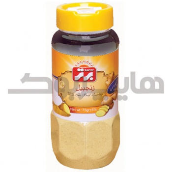 PET زنجبیل 75 گرمی نمکپاش برتر