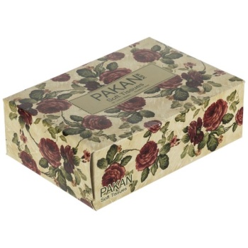 262518161e165a61681b43660