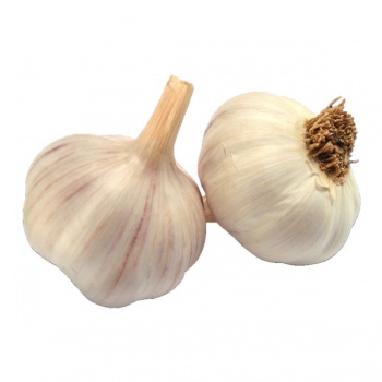 707dc3243e5366a95a6c7433b0510aacda1092a8_161147715760a8bd4b896e1291100