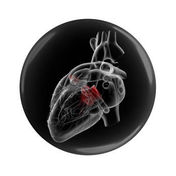 ffec036214c6c0fdffe57e495d5d8bc7a989dad2_16309190836321c190b2bc426930